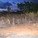 Flat hilltop land