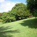 Lovely Yard