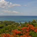 Outstanding Sea View