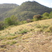 Gently Sloping Lot