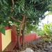 Manicured grounds 