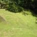 Grounds