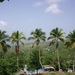 View of Plains and Caribbean Sea